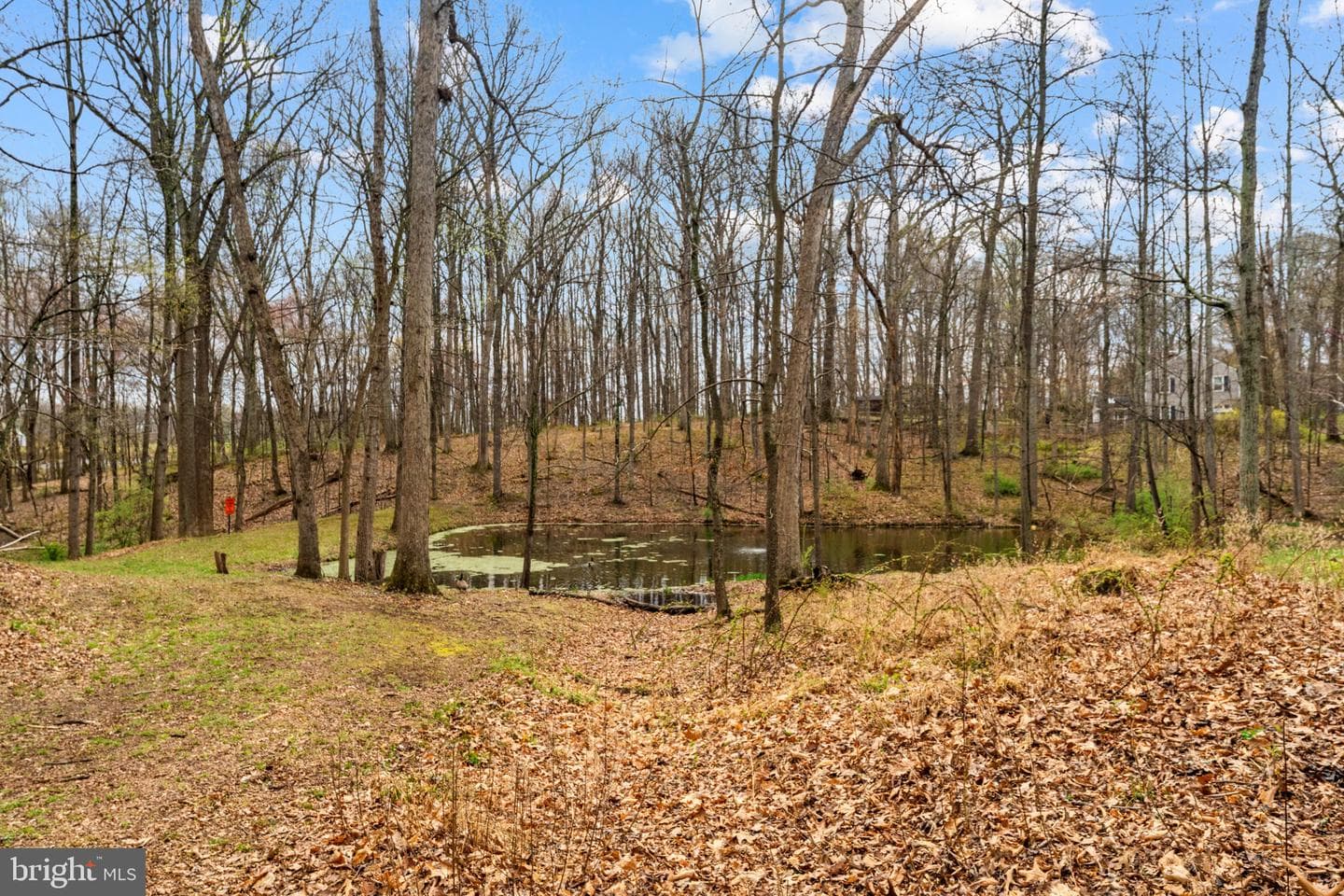 4341 Banbury Drive photo 107