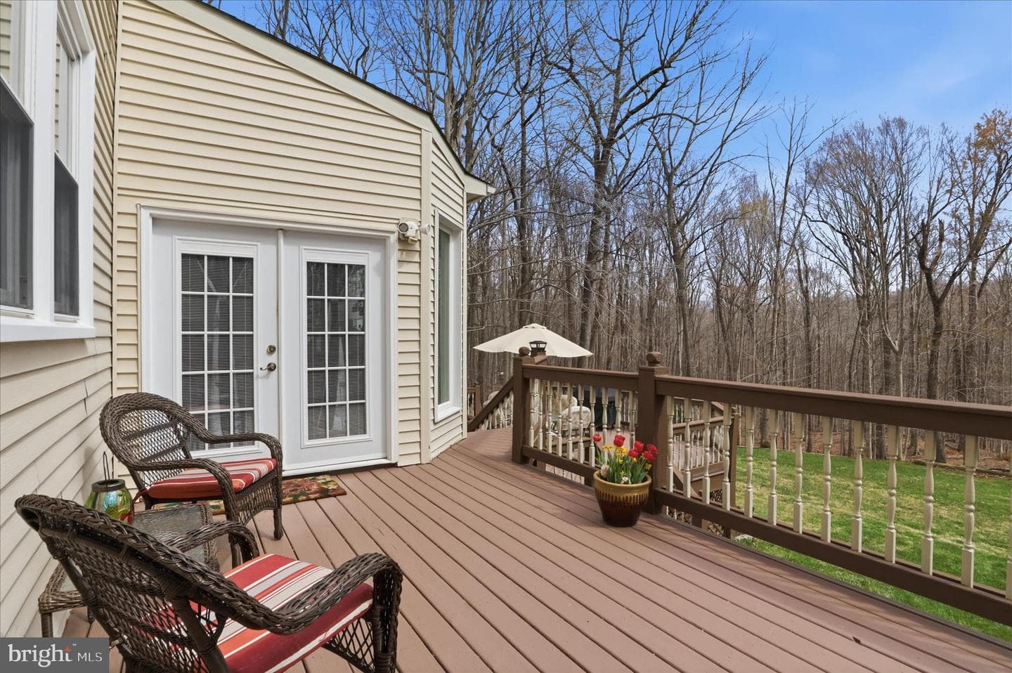 11547 Gunner Court photo 42