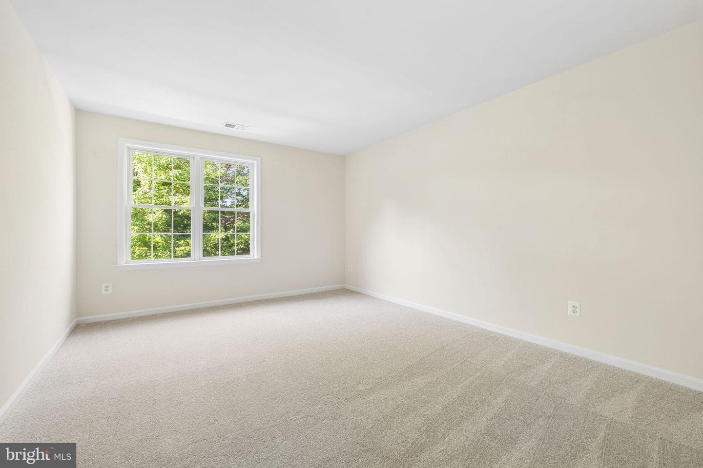 13703 Currant Loop photo 28