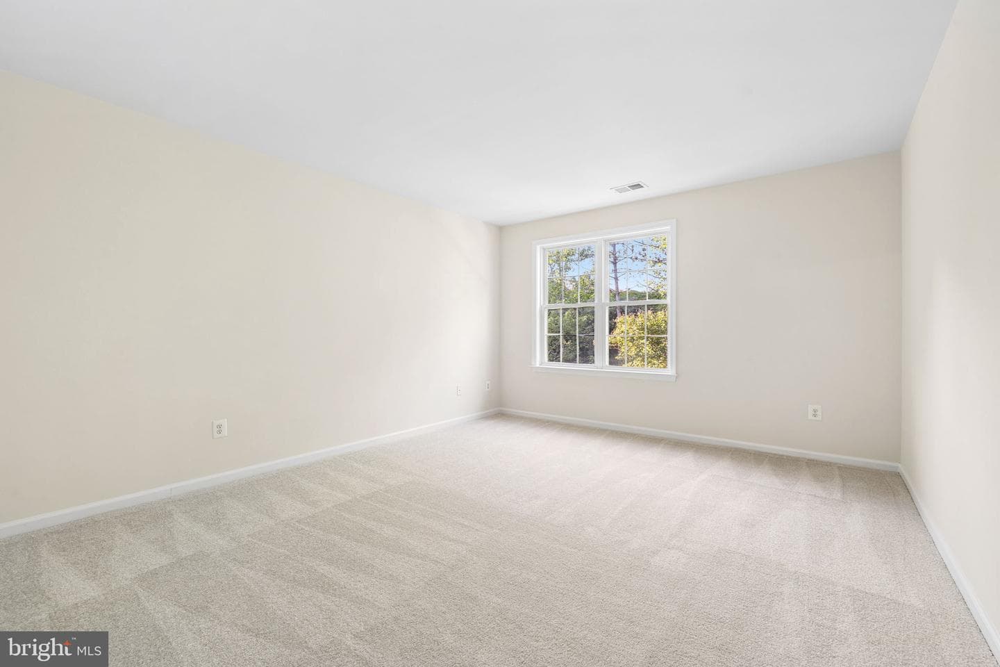 13703 Currant Loop photo 30