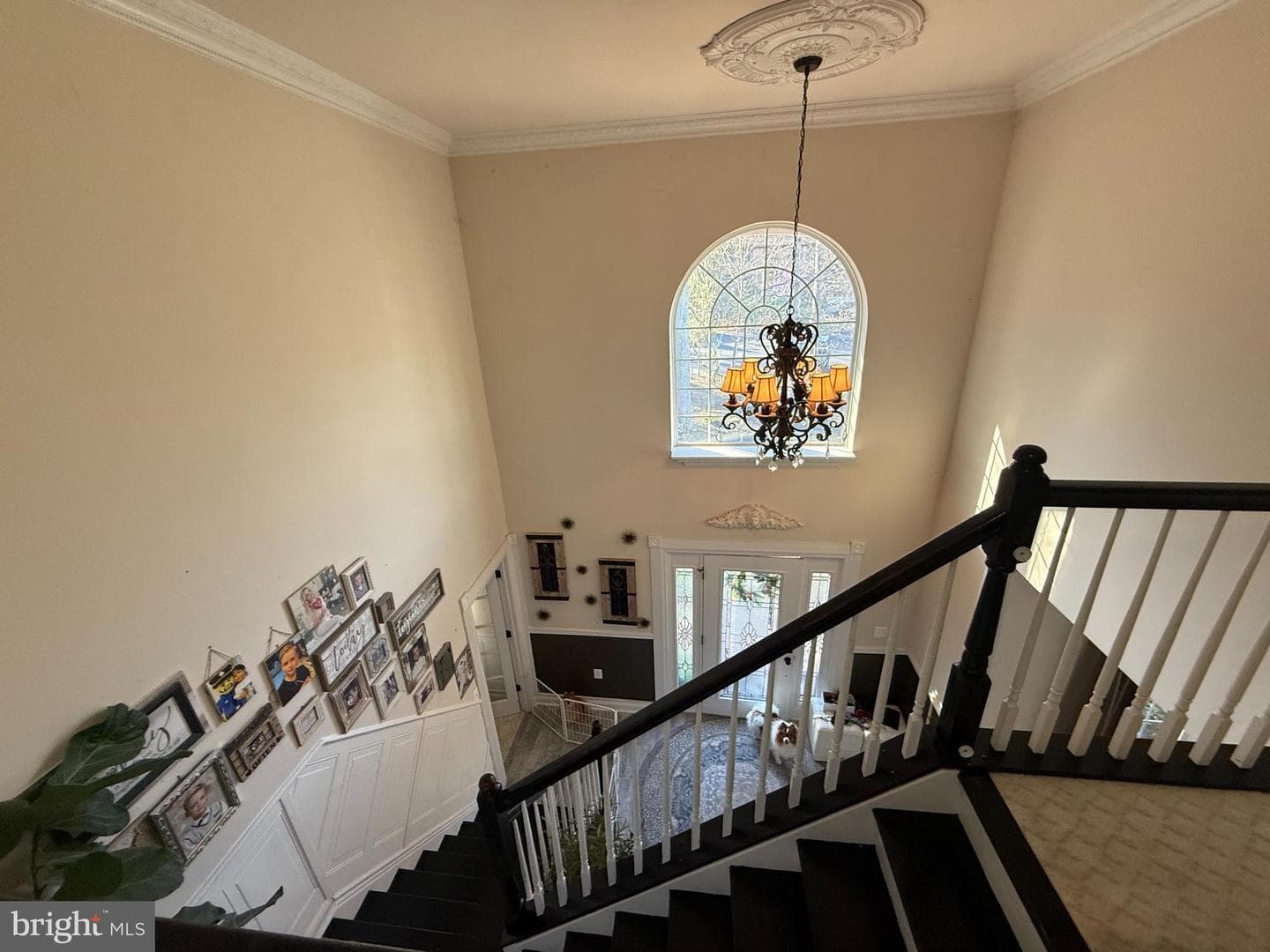 3209 Shoreview Road photo 15