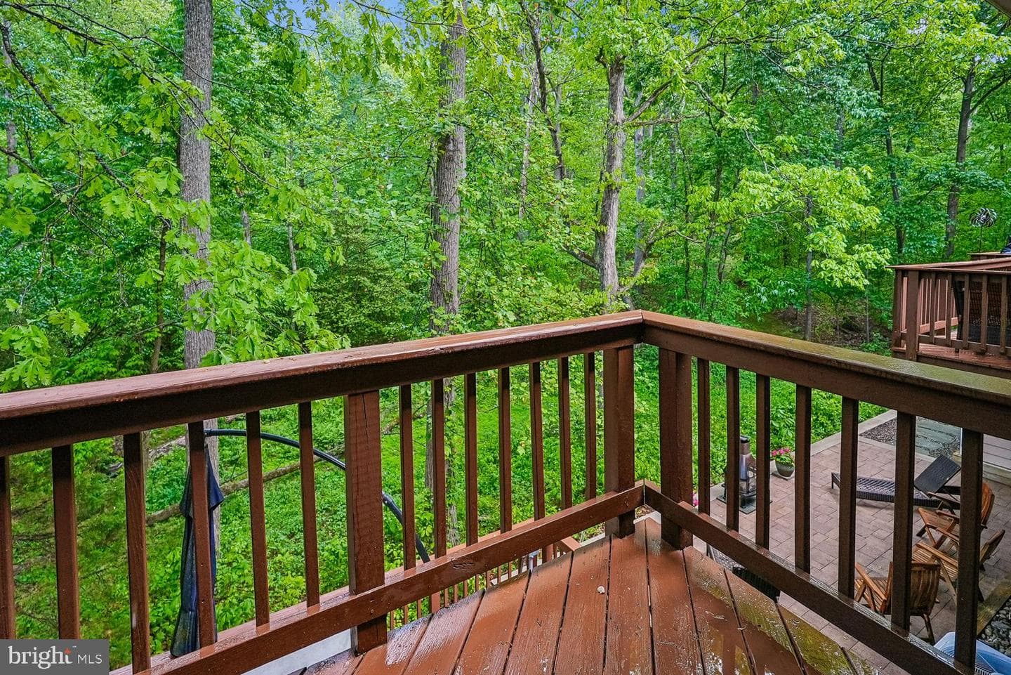 12203 Woodlark Court photo 29