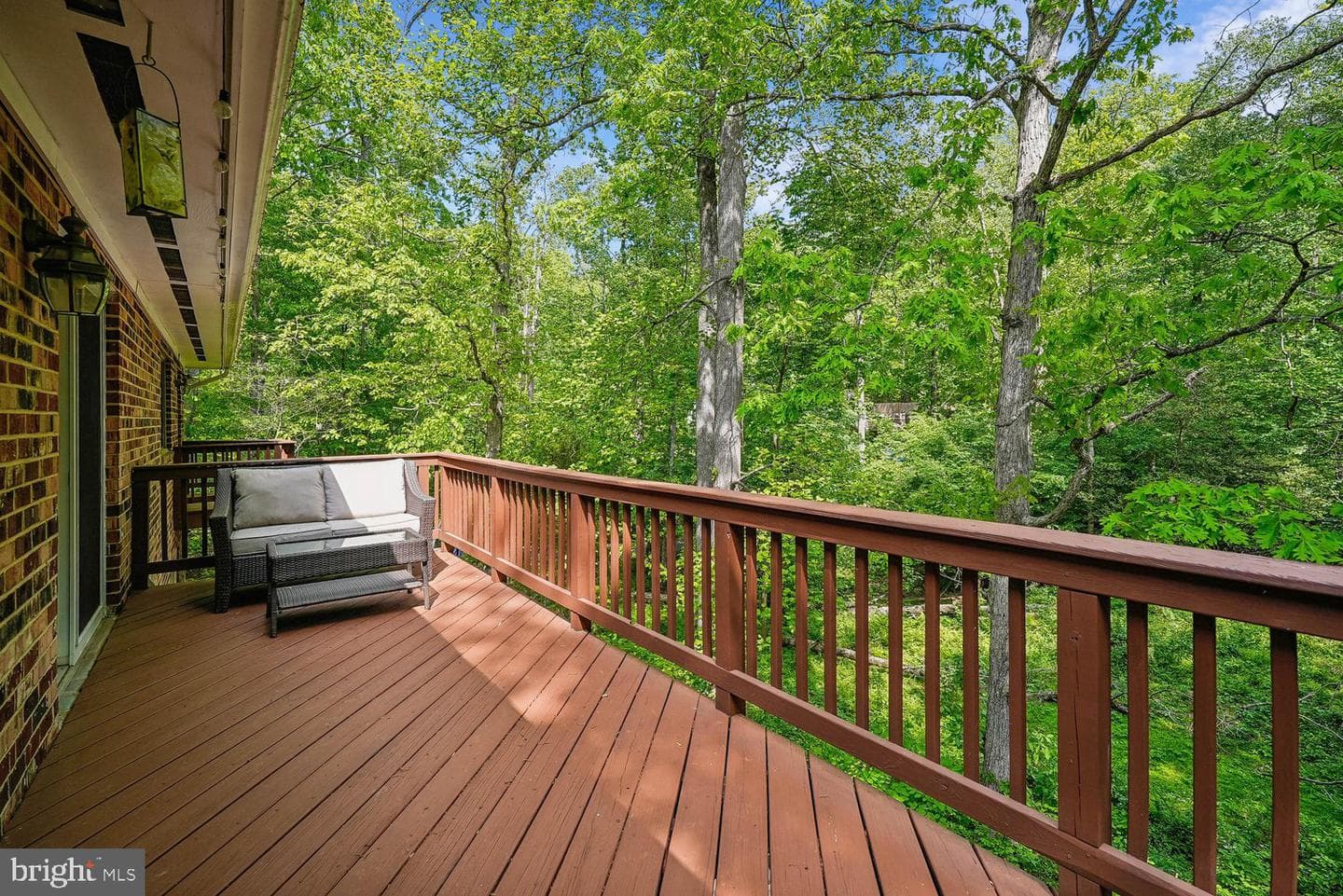 12203 Woodlark Court photo 60