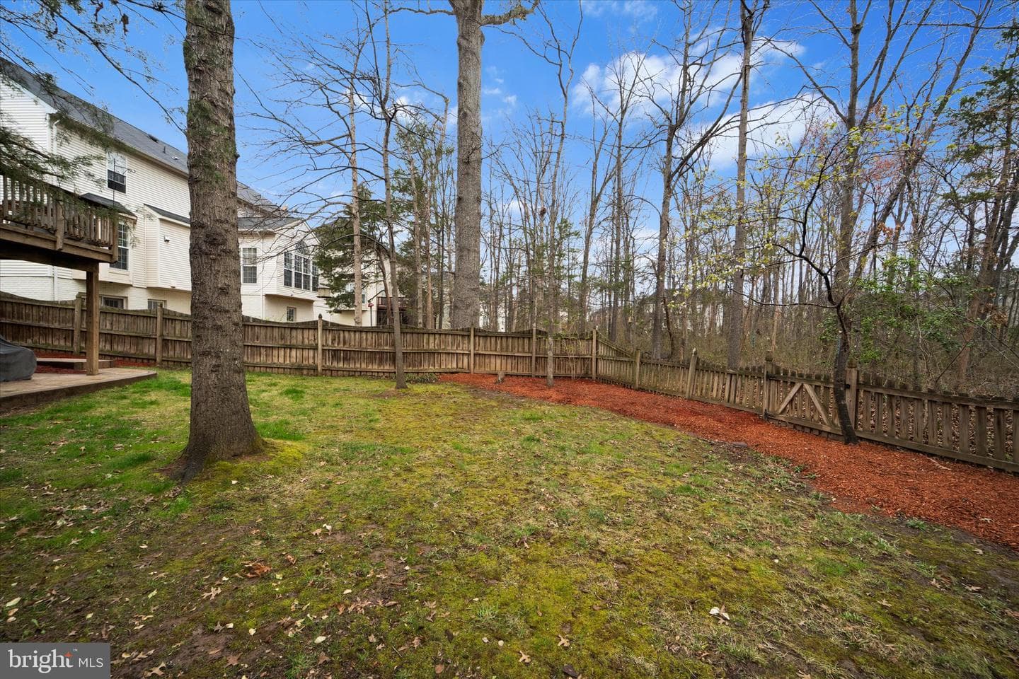 9325 Rustic Breeze Court photo 50