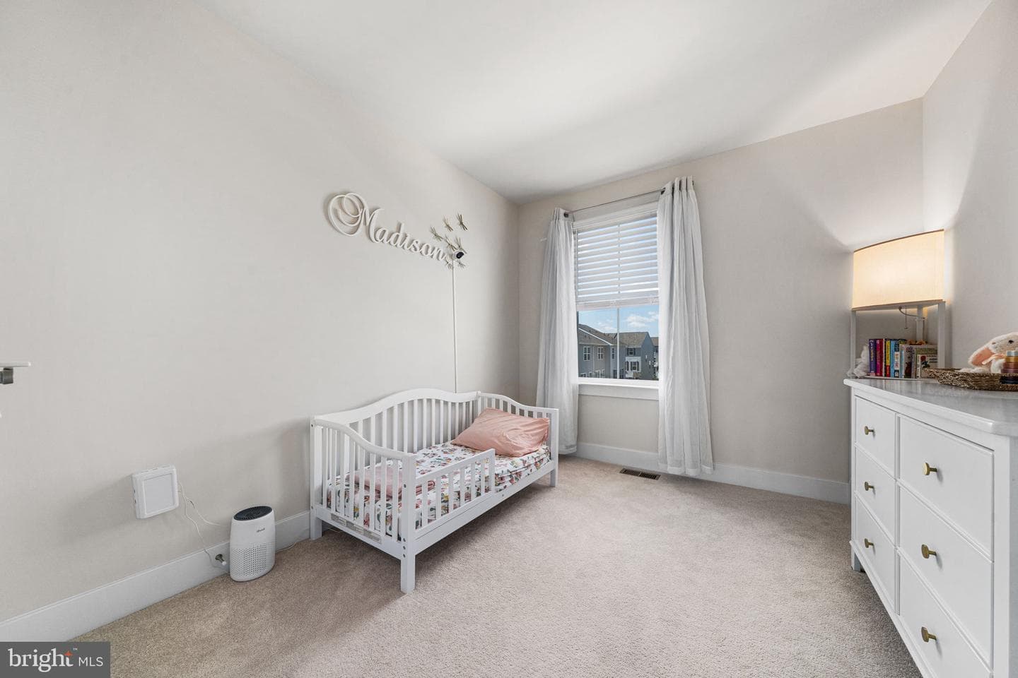 10539 Waterbury Woods Way photo 22