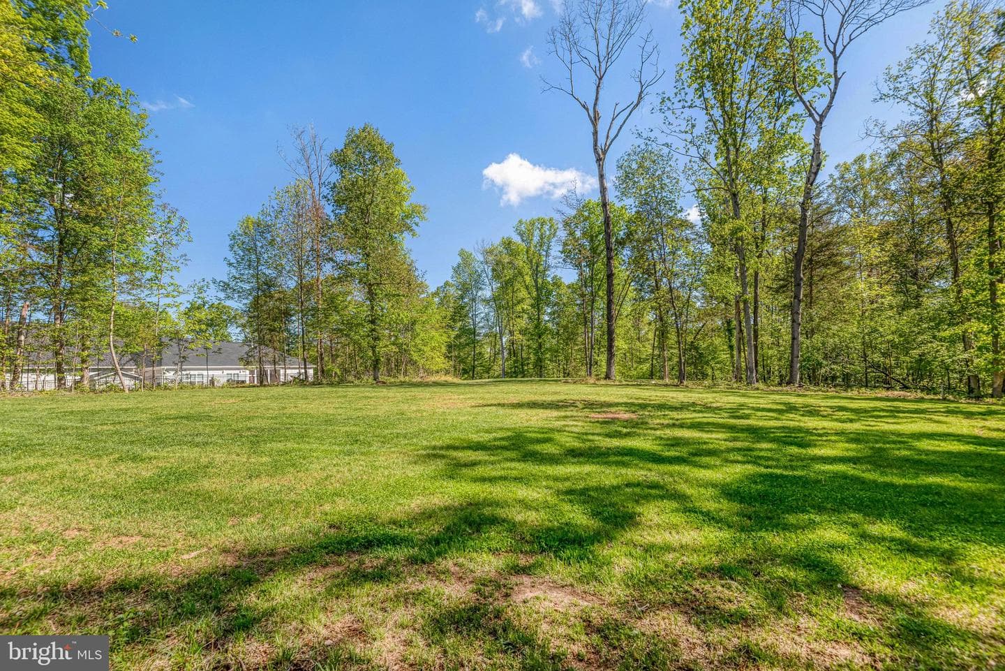 11125 Pine View Estates Court photo 60