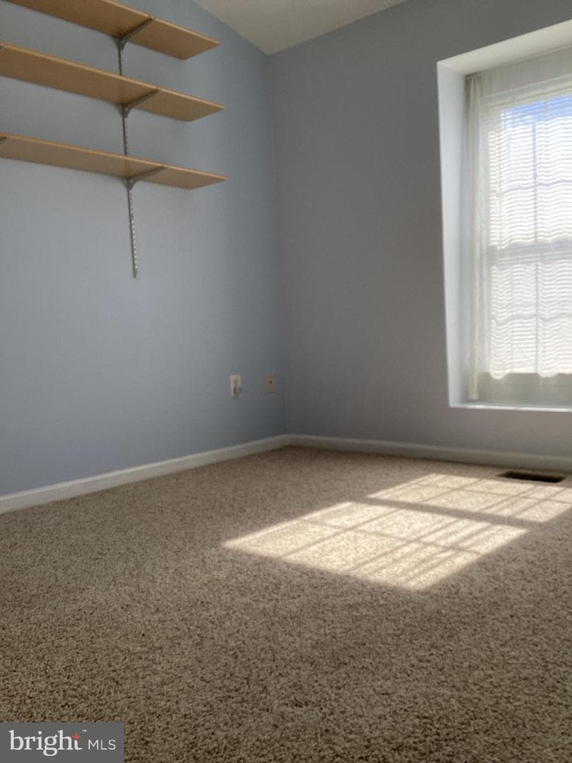 5339 Tortoise Place photo 37