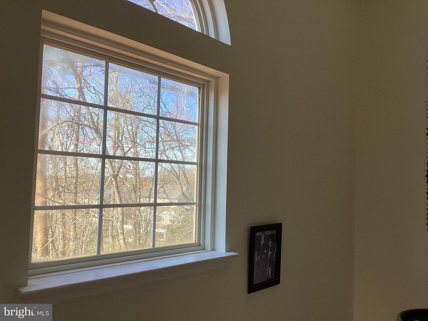 5339 Tortoise Place photo 39