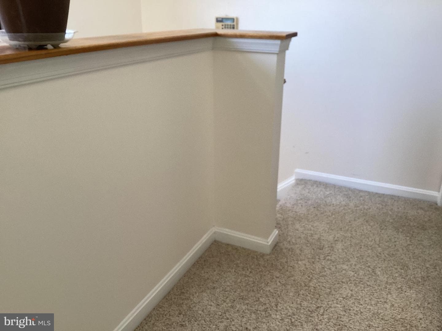5339 Tortoise Place photo 42