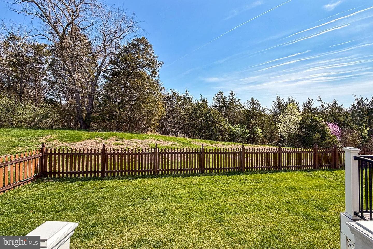 8903 Yellow Hammer Drive photo 48