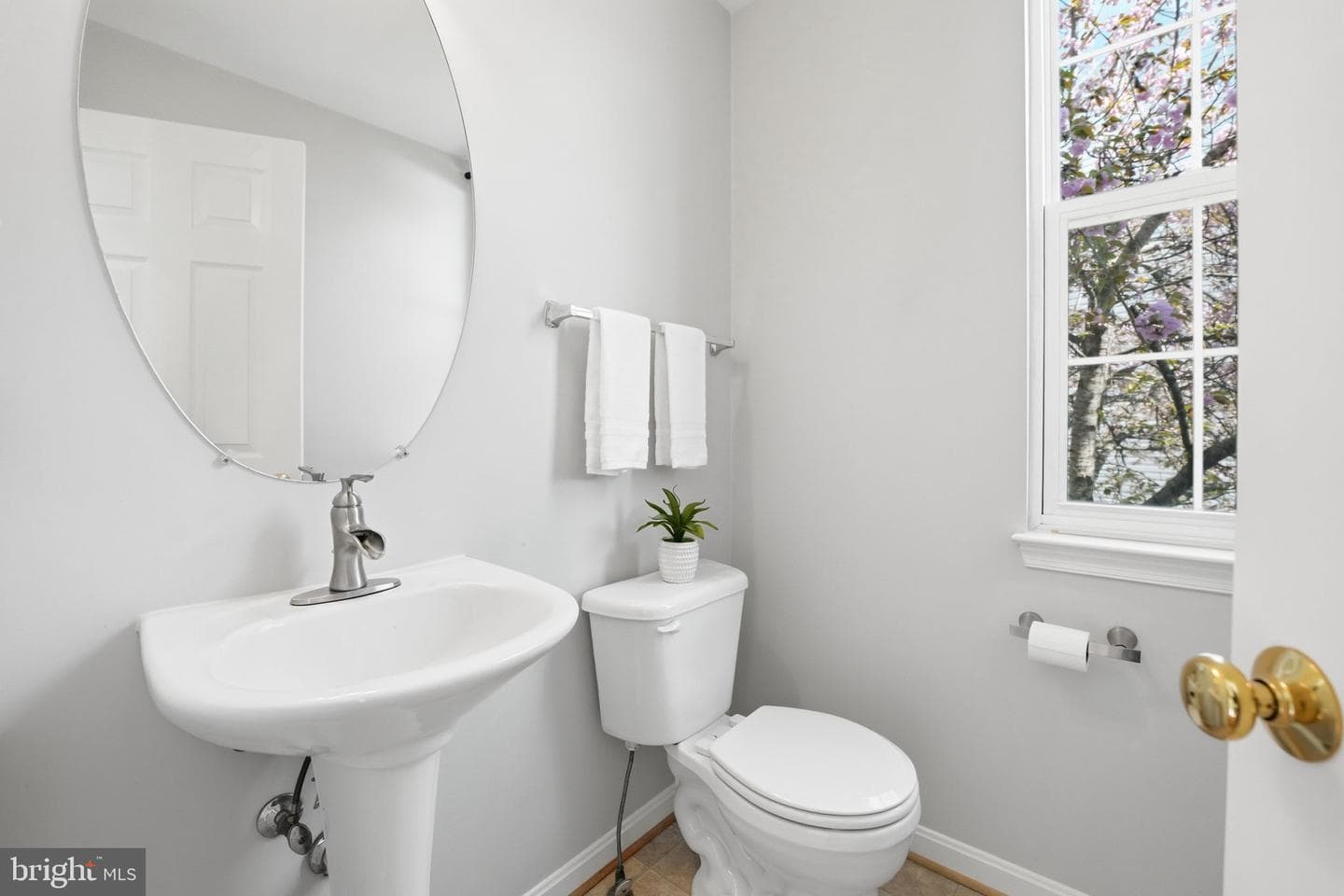 13224 Daldownie Court photo 19