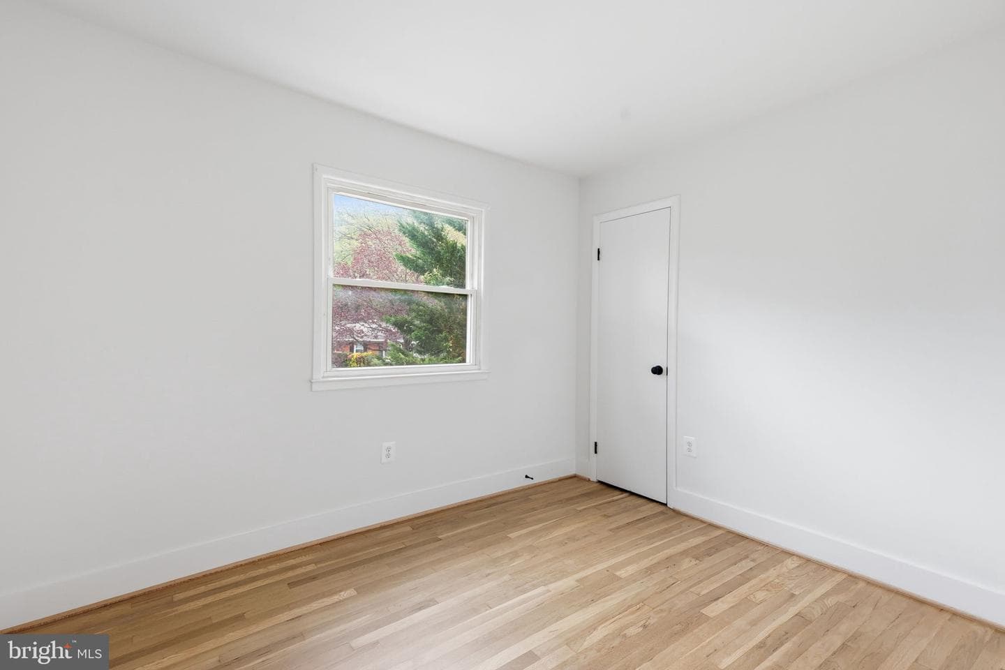 4423 Kenwood Drive photo 16