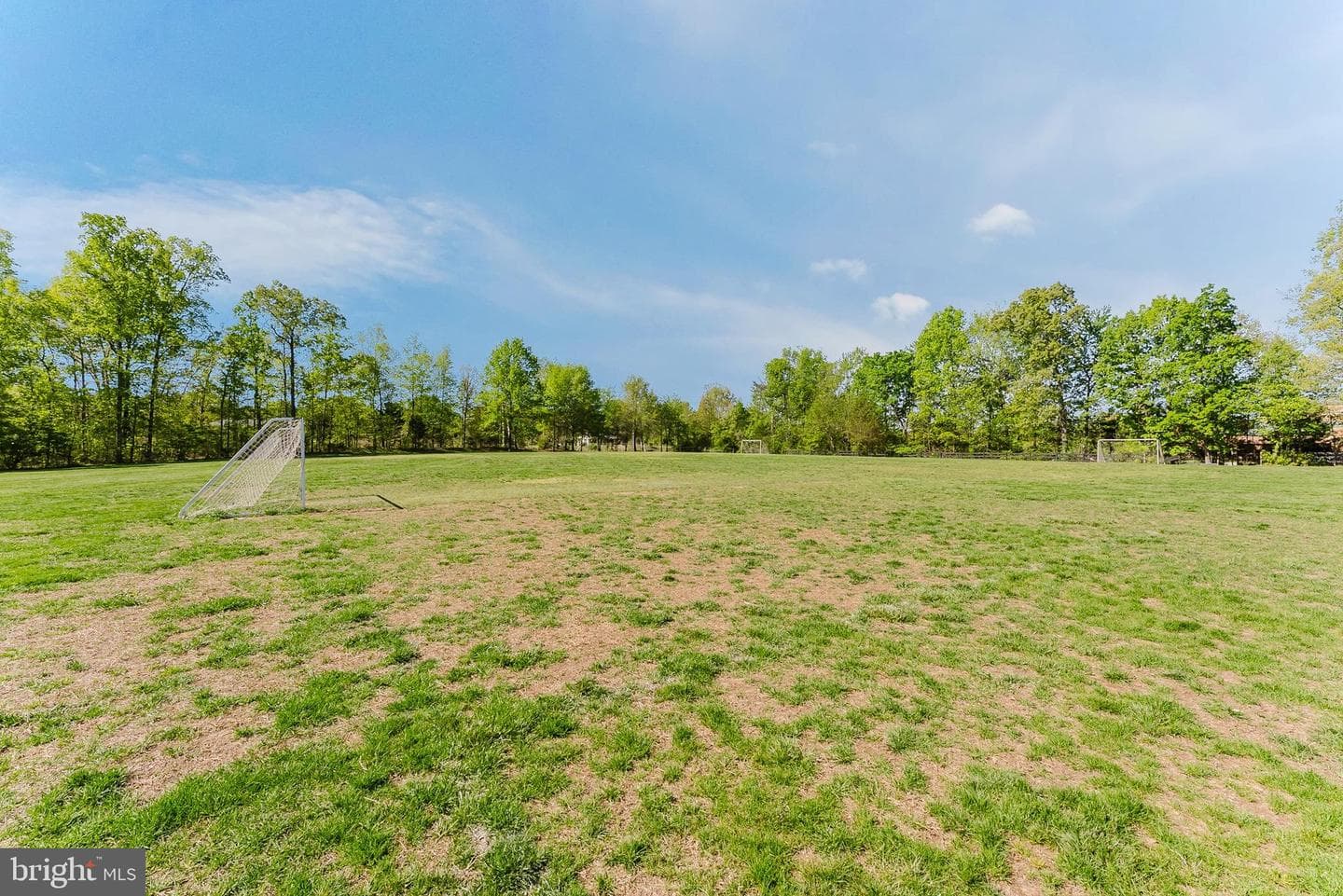 13075 Sidlaw Hills Lane photo 41