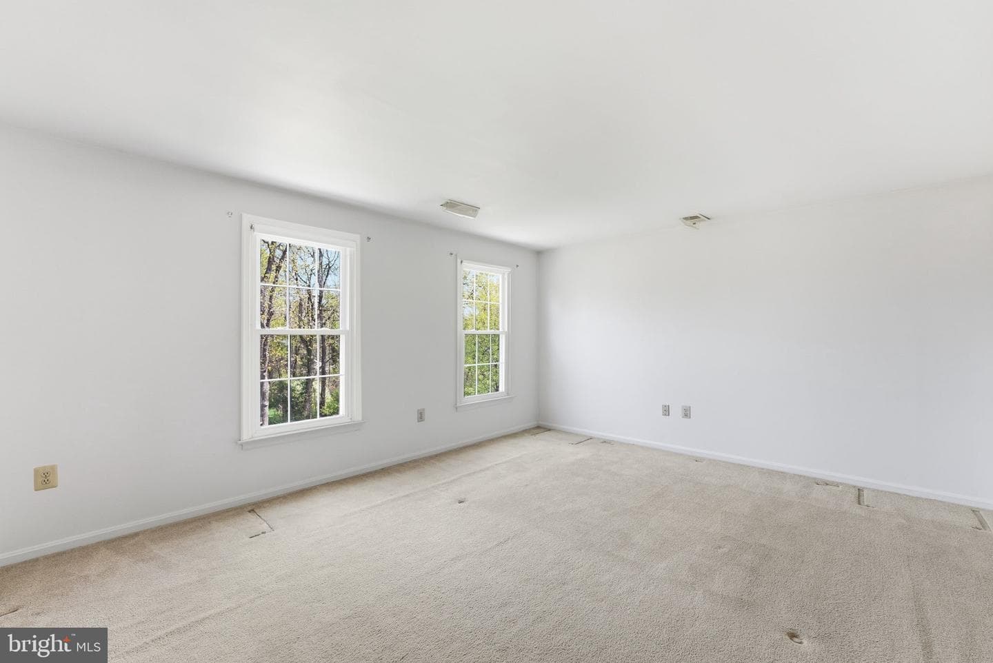 10757 Tullamore Court photo 17