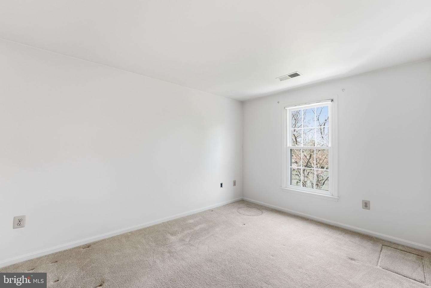 10757 Tullamore Court photo 24
