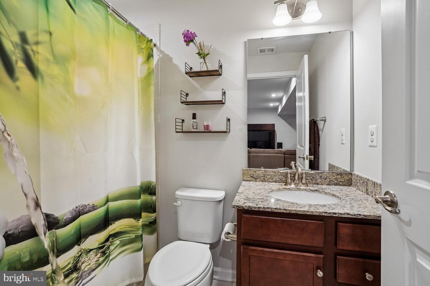 12845 Hoadly Manor Drive photo 64