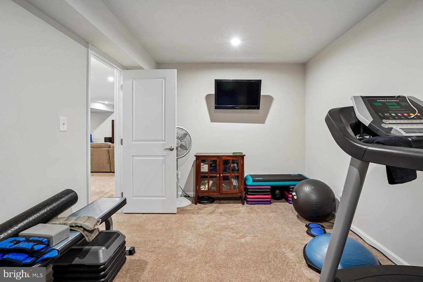 12845 Hoadly Manor Drive photo 66