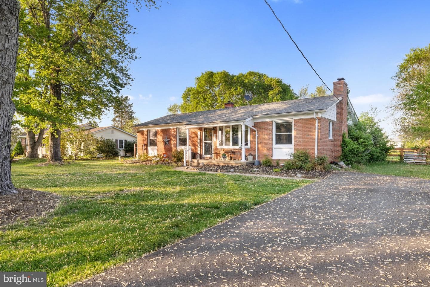 11743 Skylark Drive photo 3