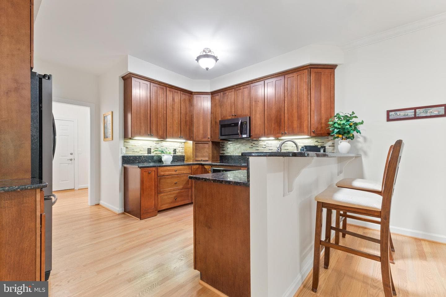 12868 Paddle Wheel Court photo 13