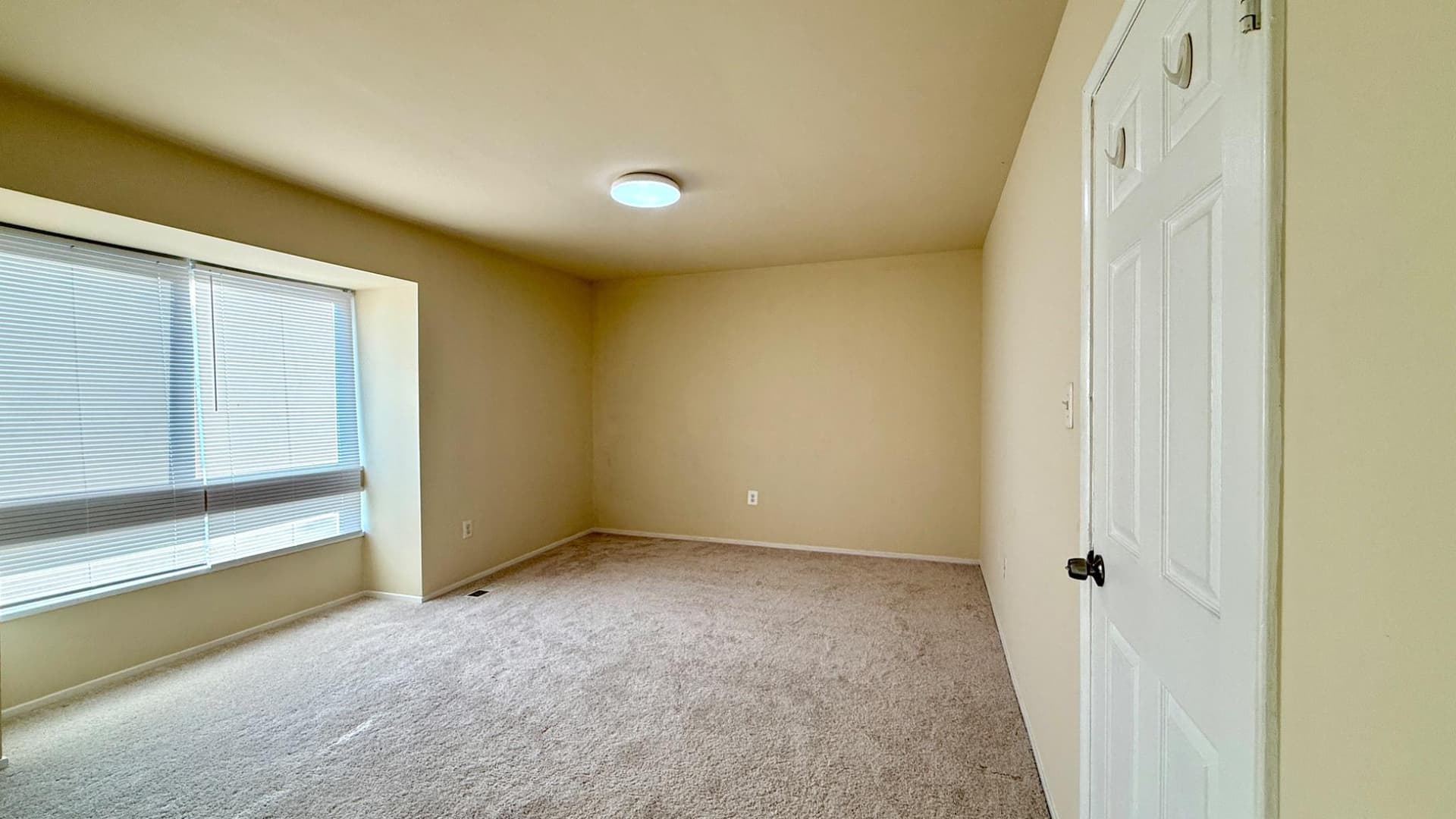 7537 Clemson Court photo 14