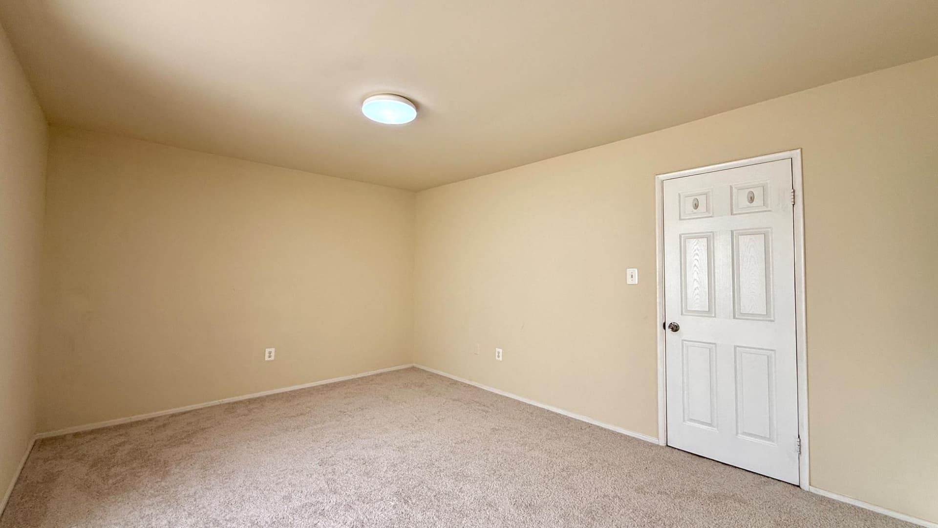 7537 Clemson Court photo 15