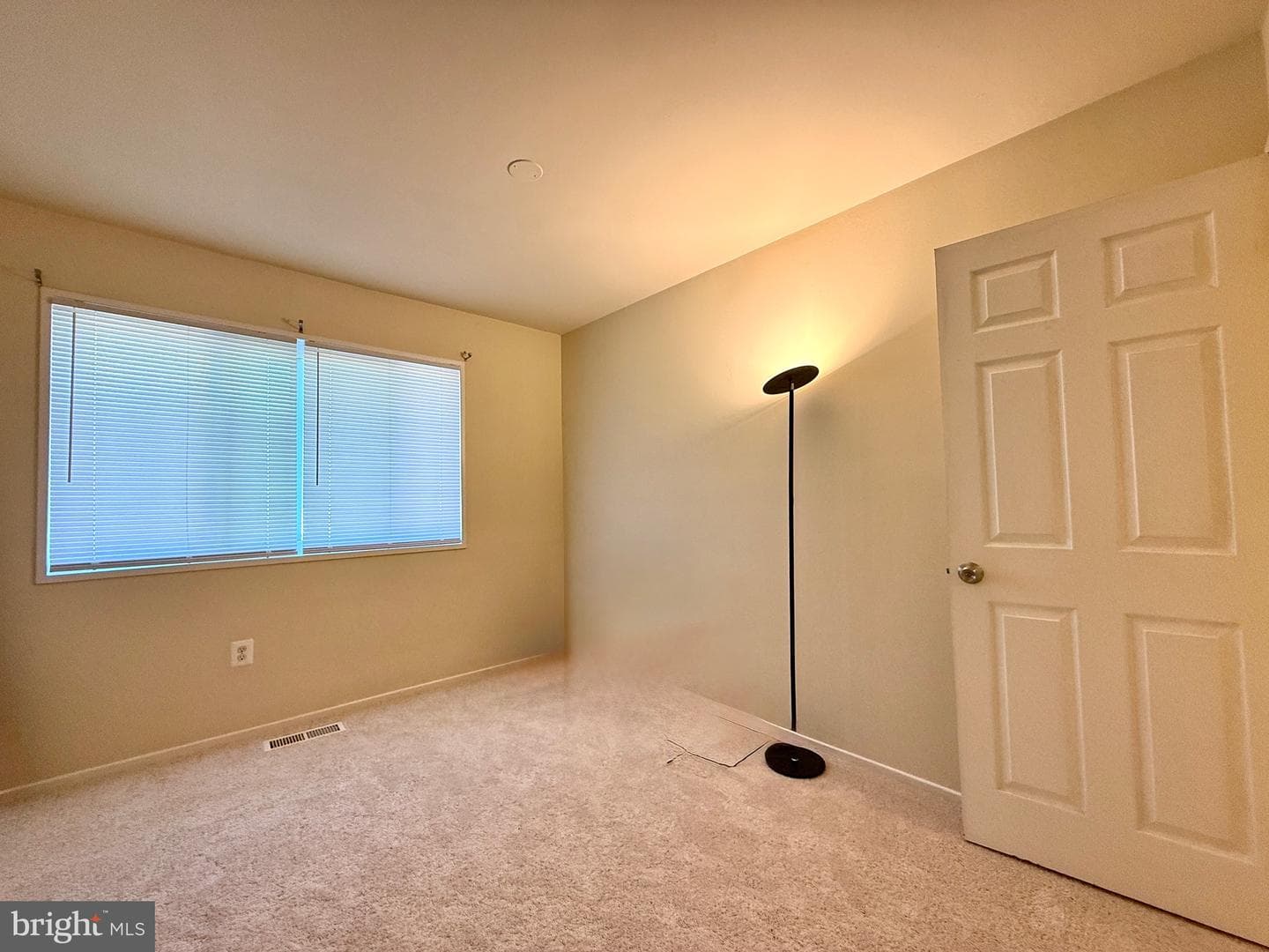 7537 Clemson Court photo 18