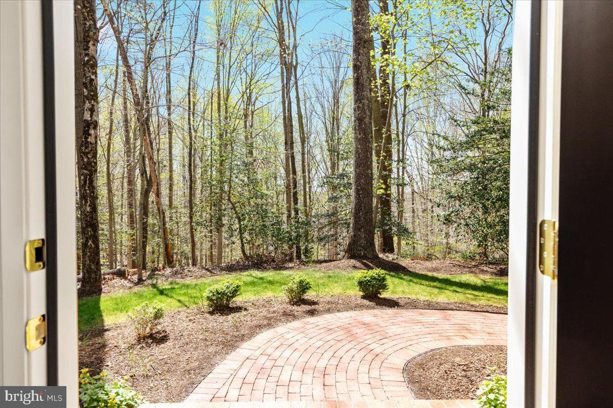 11671 Sandal Wood Lane photo 10
