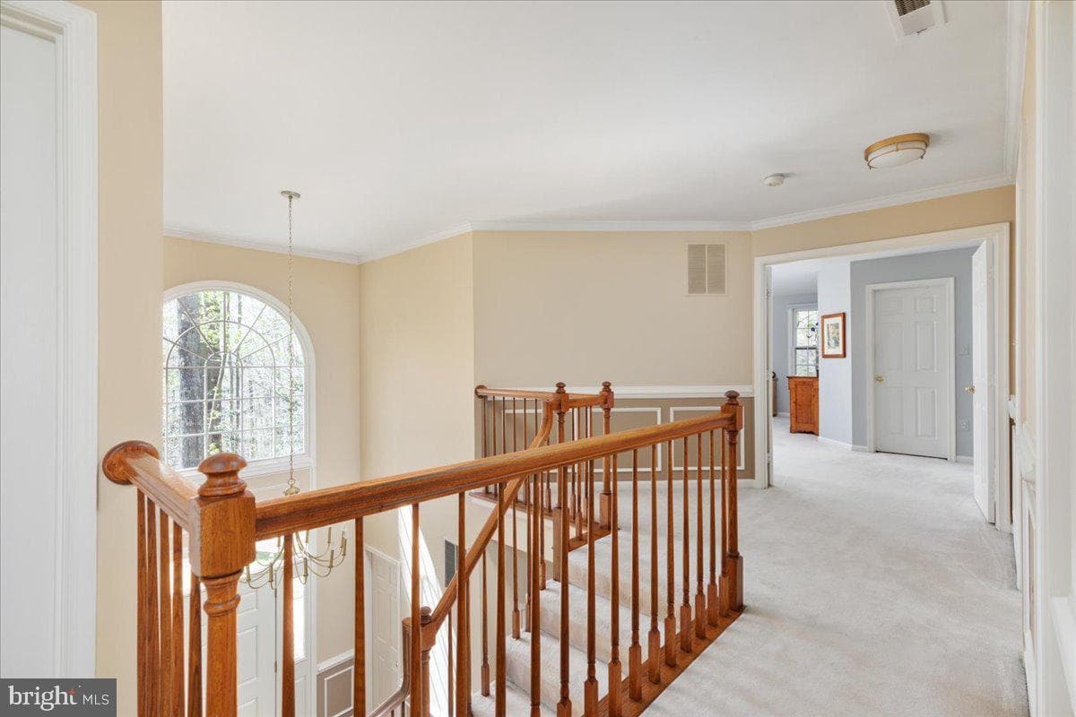 11671 Sandal Wood Lane photo 29