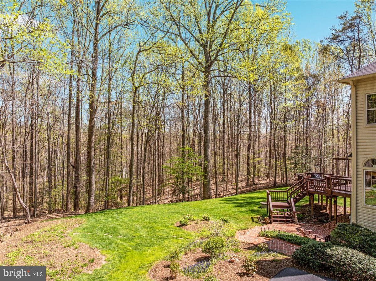 11671 Sandal Wood Lane photo 6