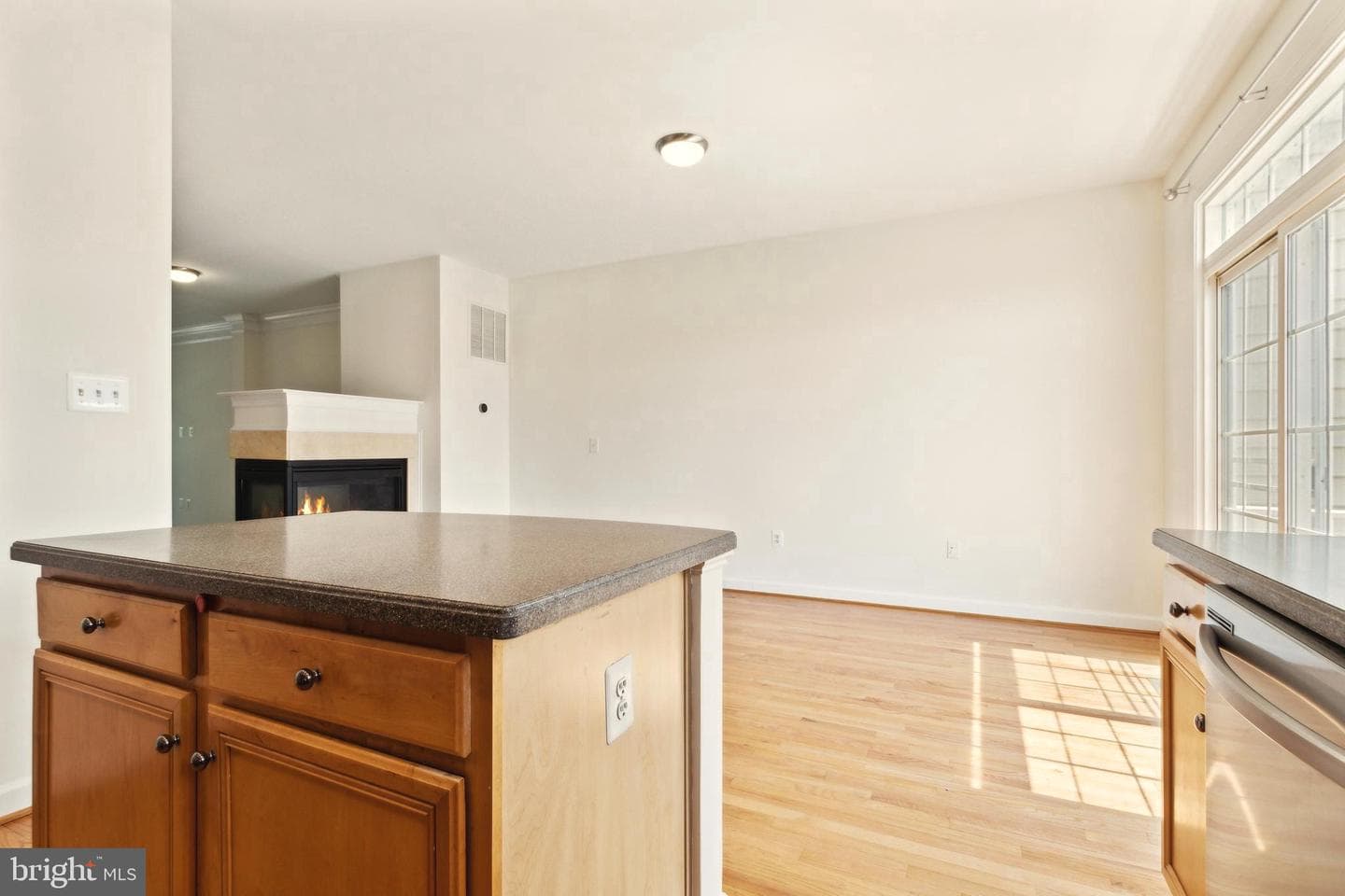 11833 Whitworth Cannon Lane photo 29