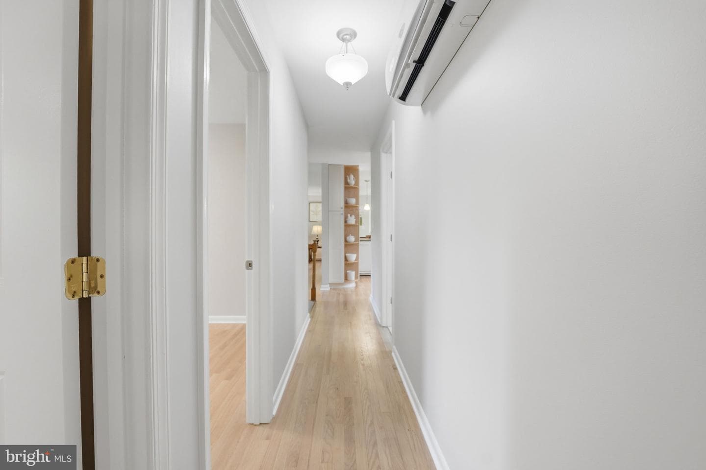10804 Lake Jackson Drive photo 45