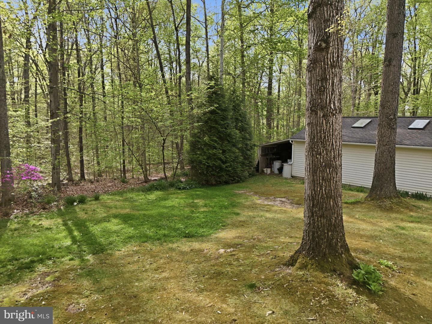 10804 Lake Jackson Drive photo 69