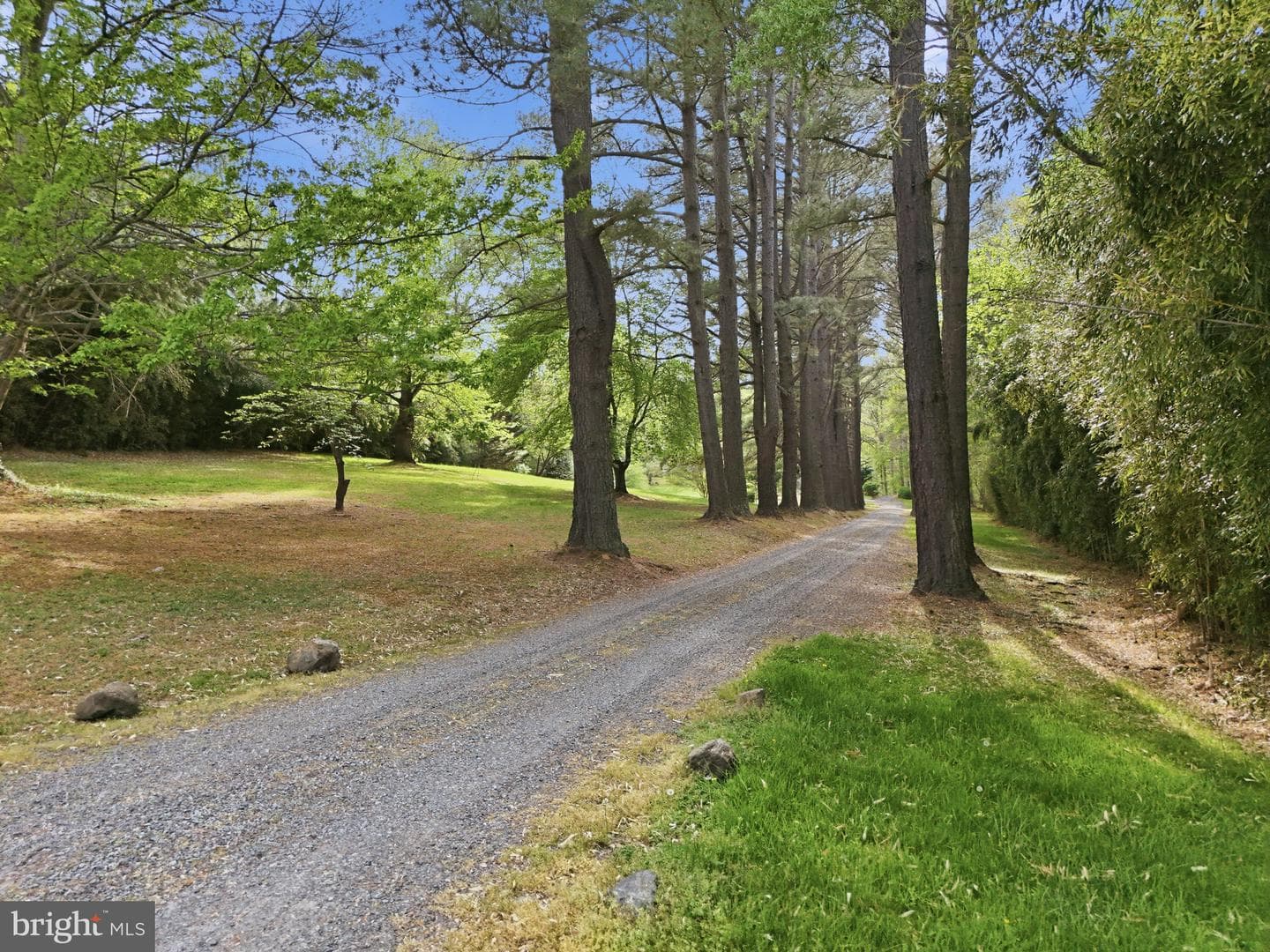 10804 Lake Jackson Drive photo 72
