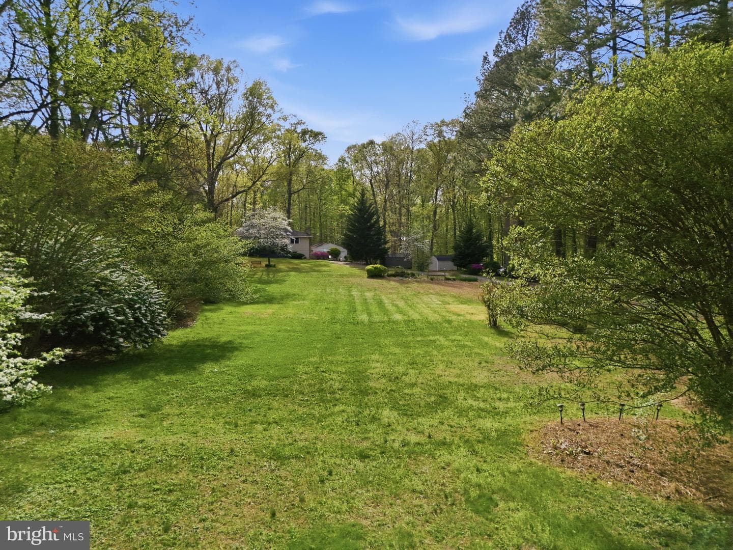 10804 Lake Jackson Drive photo 78