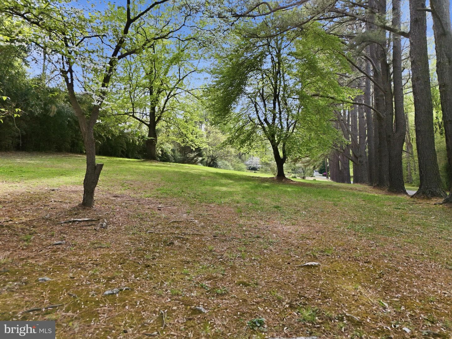 10804 Lake Jackson Drive photo 79