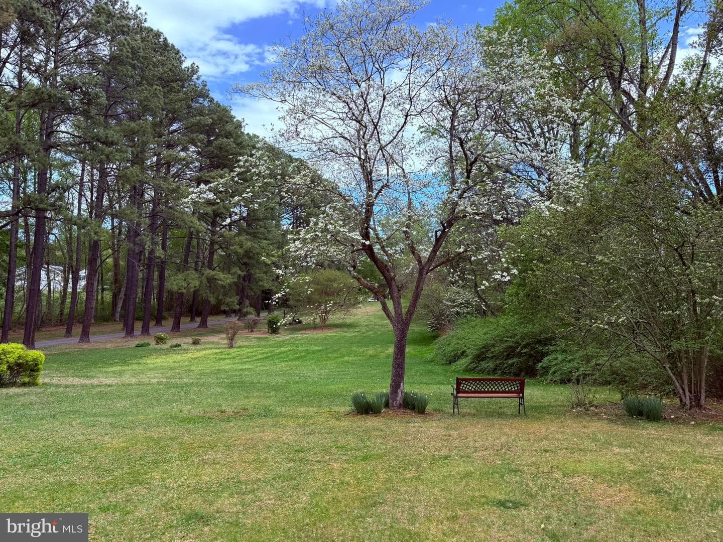 10804 Lake Jackson Drive photo 86