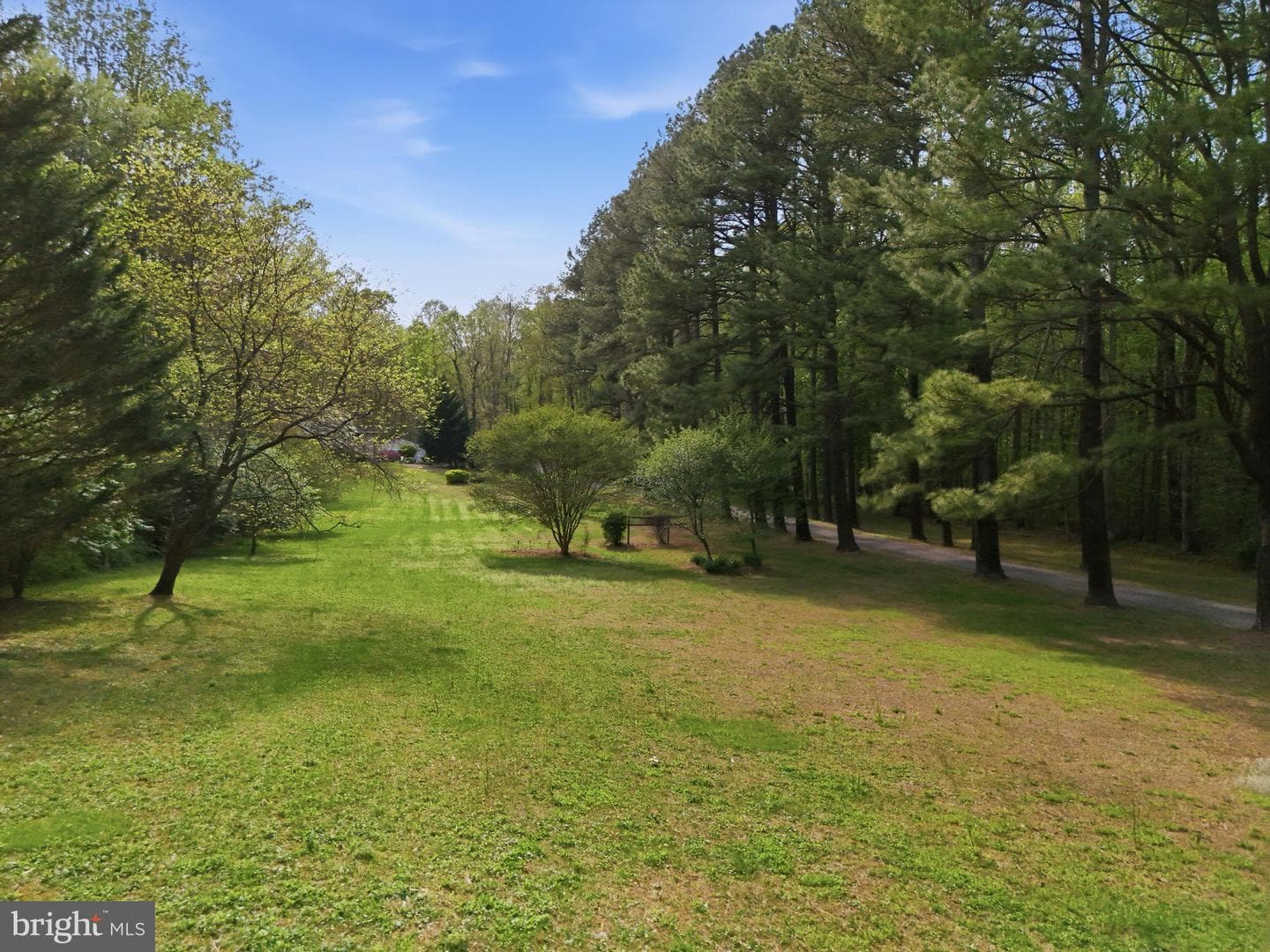 10804 Lake Jackson Drive photo 88