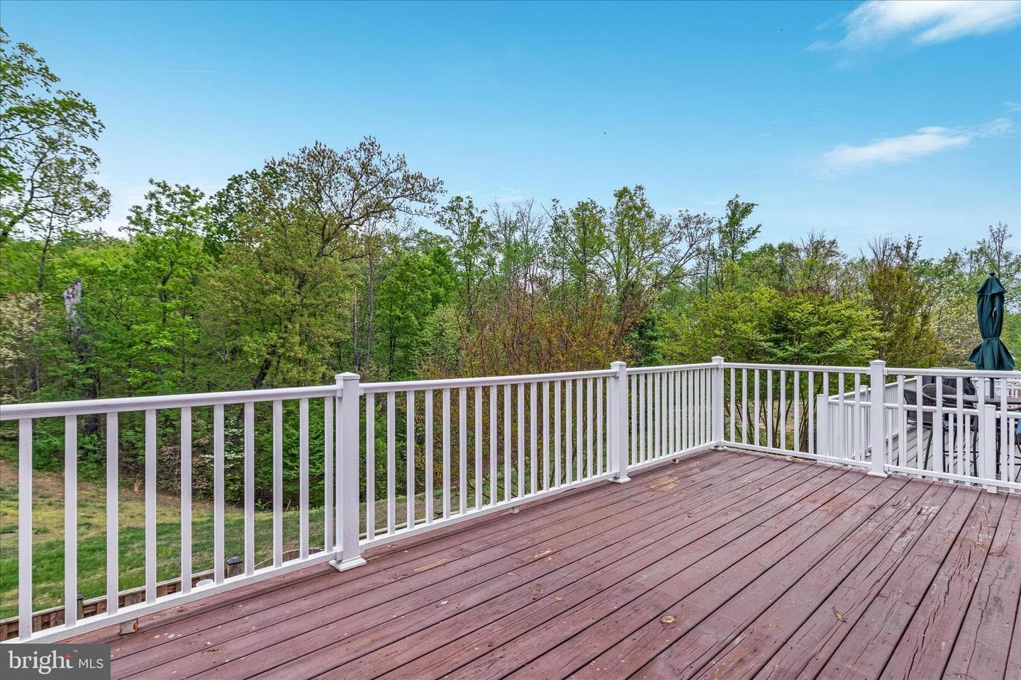 16717 Shackleford Way photo 32