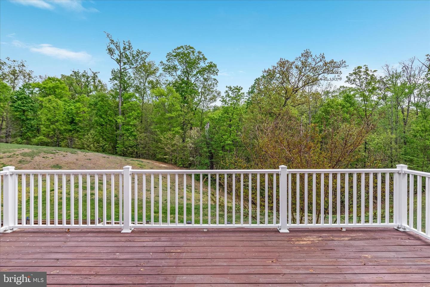 16717 Shackleford Way photo 33