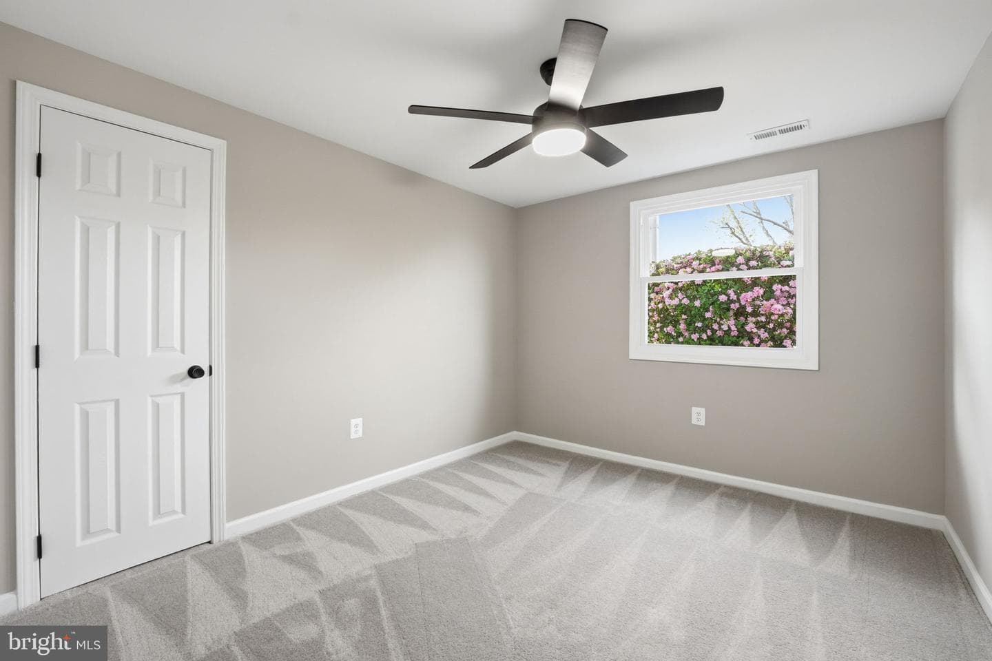 3008 Albany Court photo 24