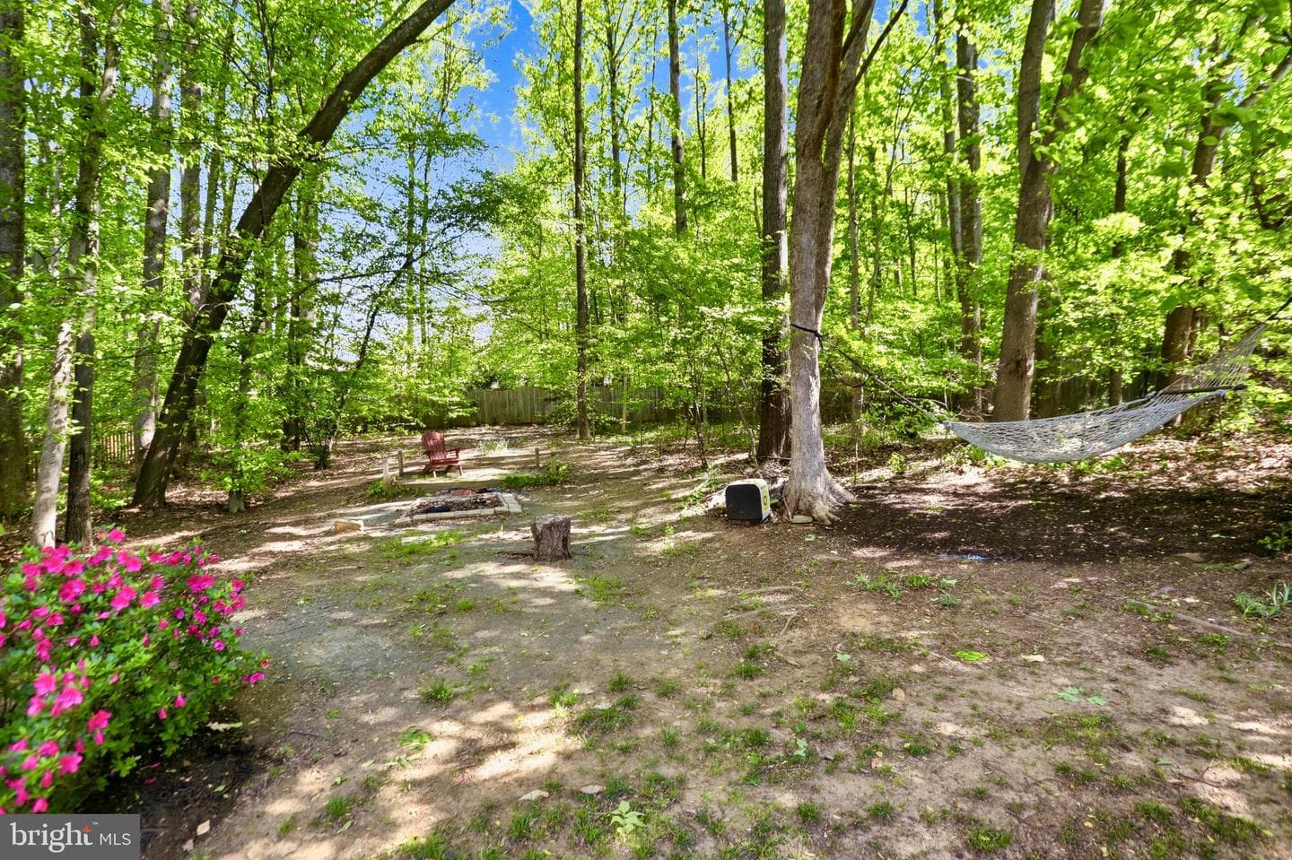 7858 Meadowgate Drive photo 18