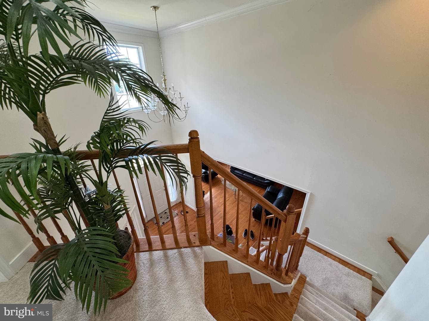 13201 Quate Lane photo 33