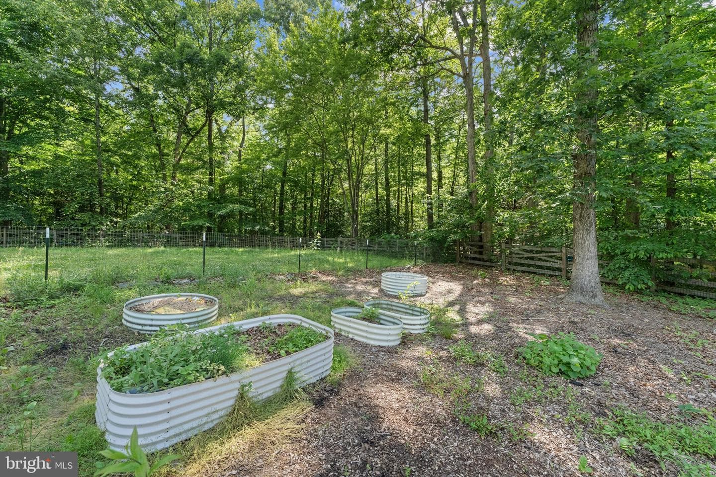 8047 Counselor Road photo 48