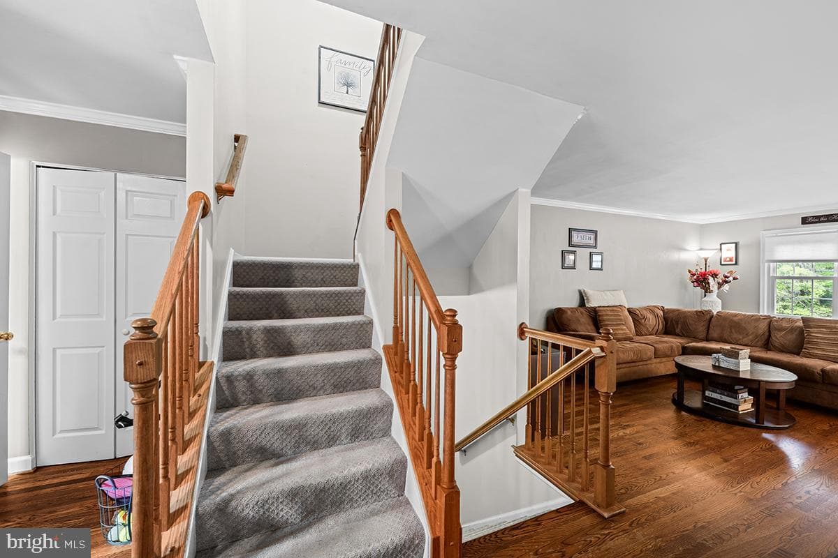 12207 Cinnamon Street photo 38