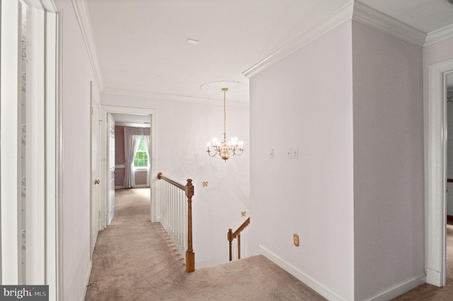 4560 Lynn Forest Drive photo 41