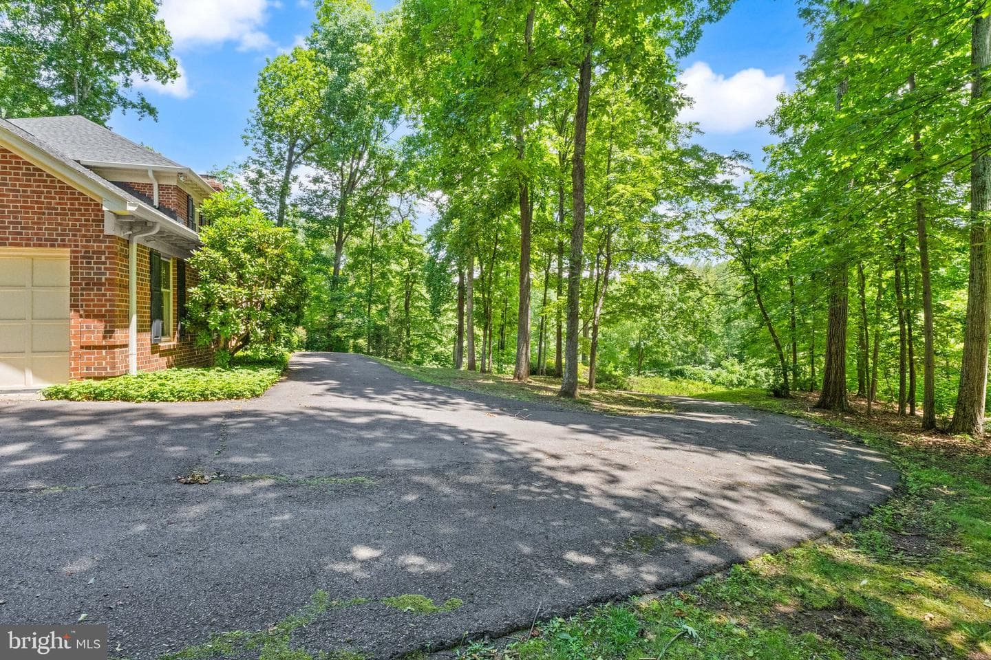 4560 Lynn Forest Drive photo 9