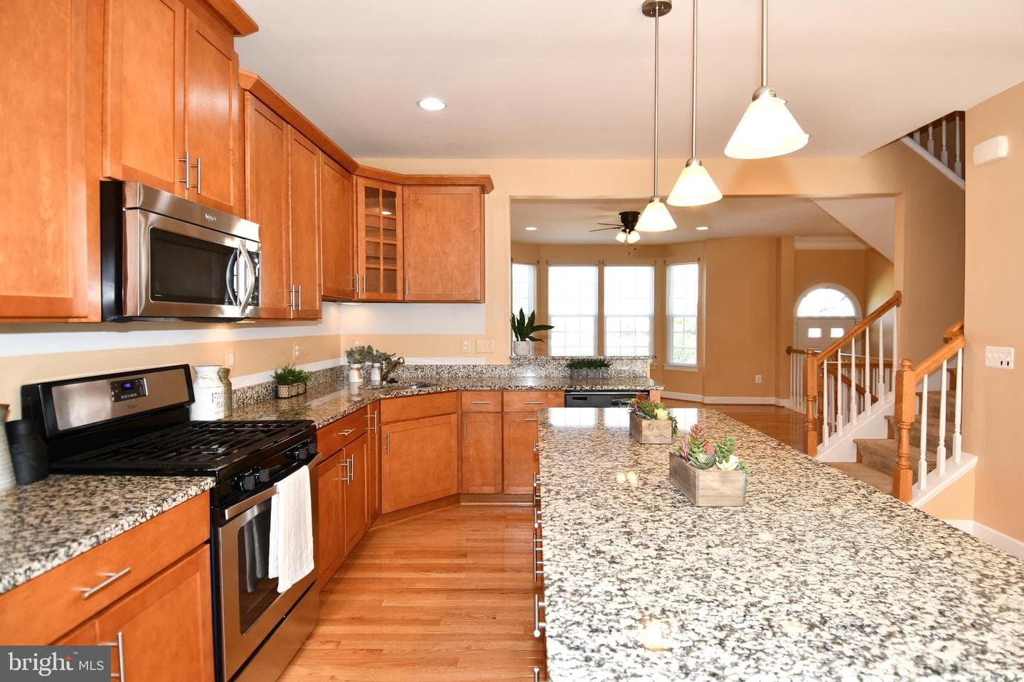 16733 Shackleford Way photo 22