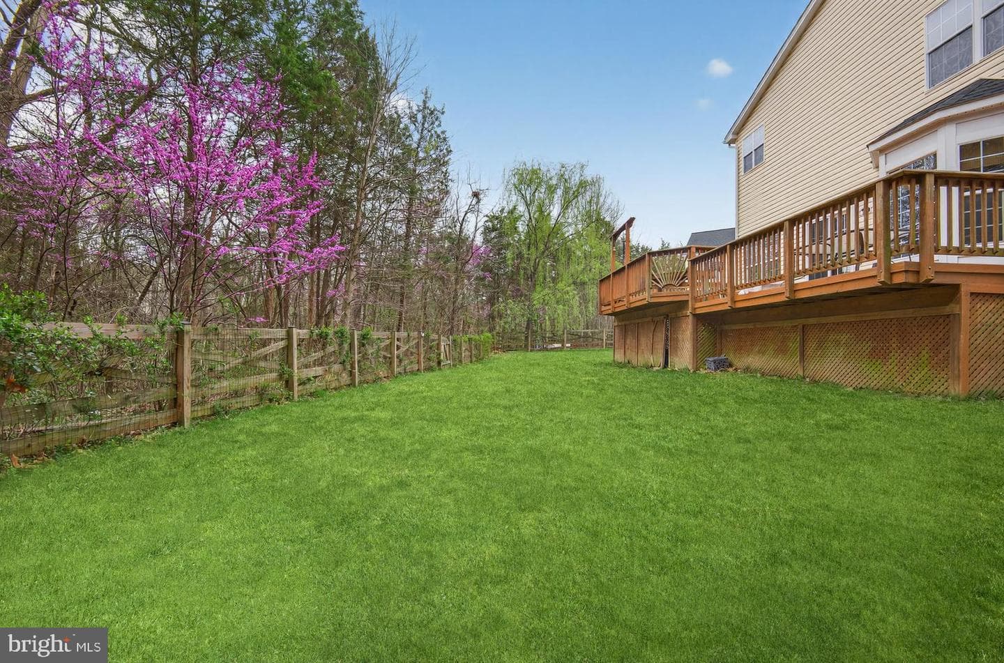 10029 Bonnykelly Court photo 2