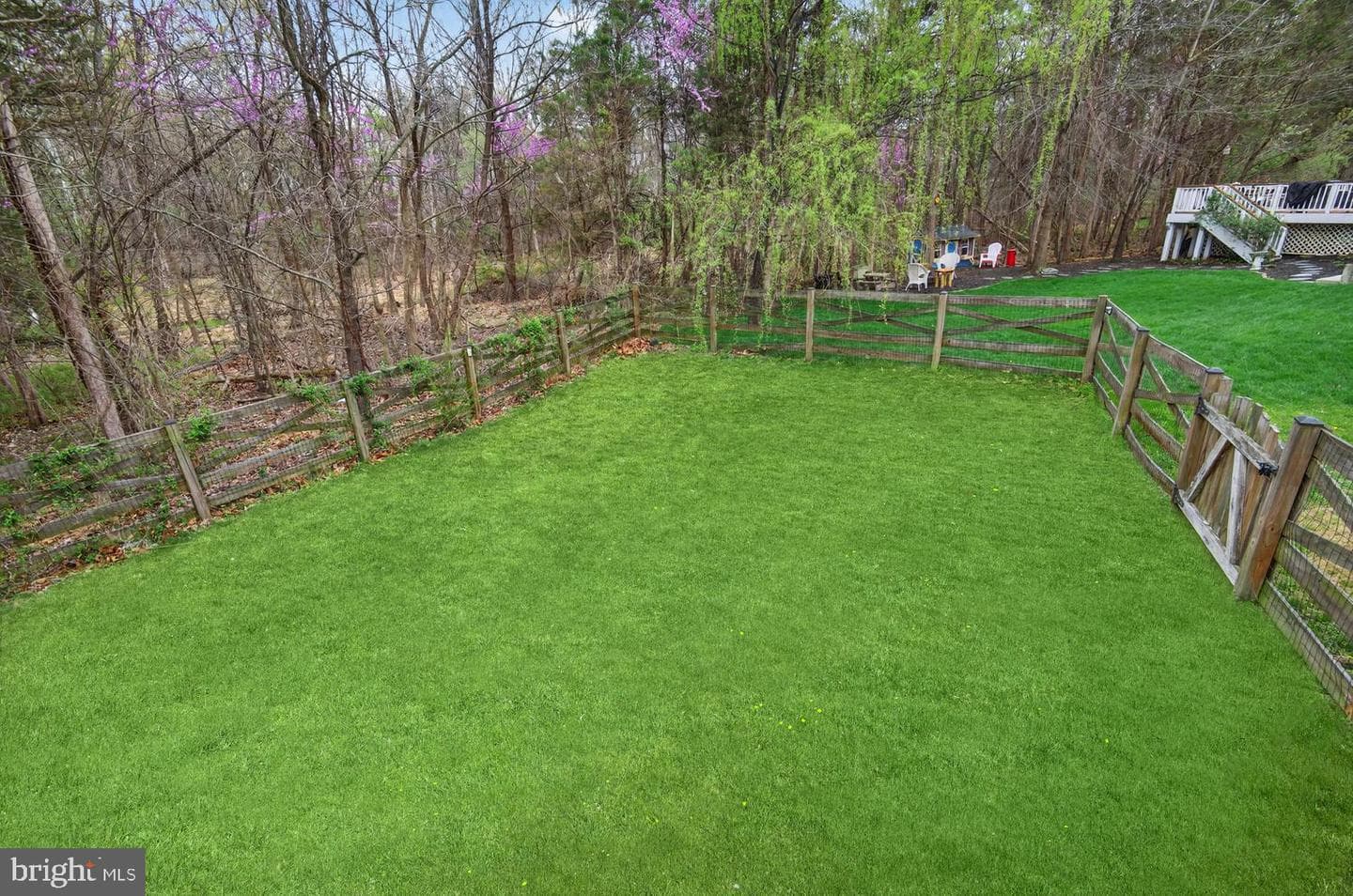 10029 Bonnykelly Court photo 43