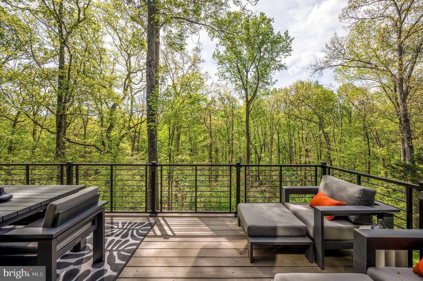 12328 Hollyhock Court photo 55